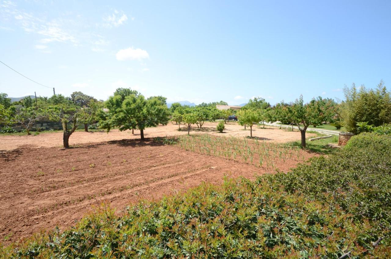 Villa Can Pau, pool&garden close to the beach Puerto de Alcúdia Exterior foto
